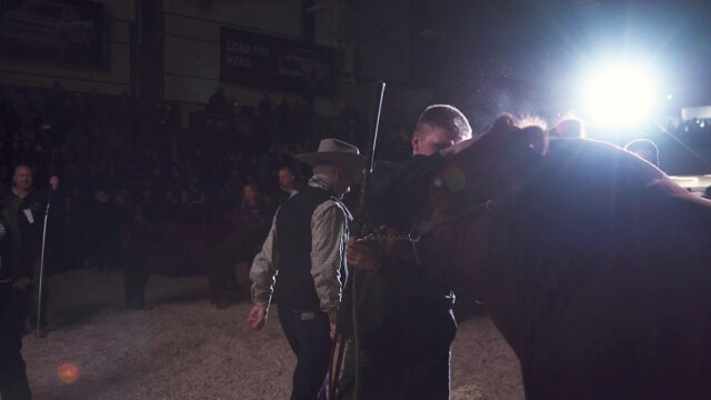 Pic of cowboys with a bull in a dark area